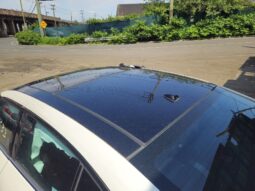
										Salvaged Cars 2023 Nissan Maxima full									