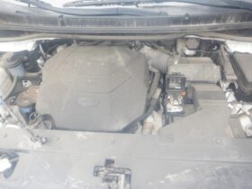 Salvaged Cars 2021 Kia Sedona