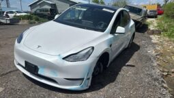 
										Salvaged Cars 2023 Tesla y full									