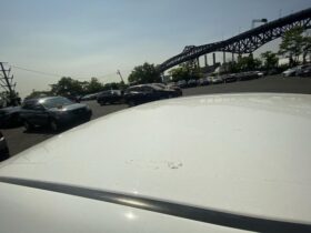 Salvaged Cars 2022 Toyota Camry
