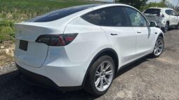 
										Salvaged Cars 2023 Tesla y full									