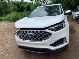 
										Salvaged Cars 2023 Ford Edge full									