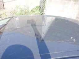 
										Salvaged Cars 2025 Toyota Camry full									