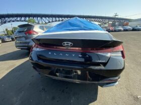 Salvaged Cars 2023 Hyundai Elantra