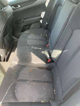 Salvaged Cars 2021 Kia k5