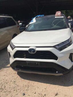 
										Salvaged Cars 2024 Toyota RAV4 full									
