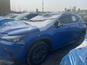 Salvaged Cars 2025 Lexus NX