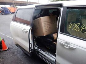 Salvaged Cars 2024 Kia Carnival